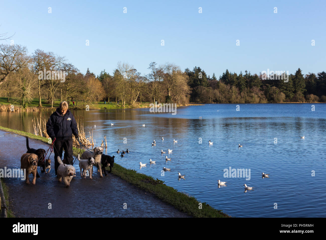 Hillsborough northern ireland hires stock photography and images Alamy