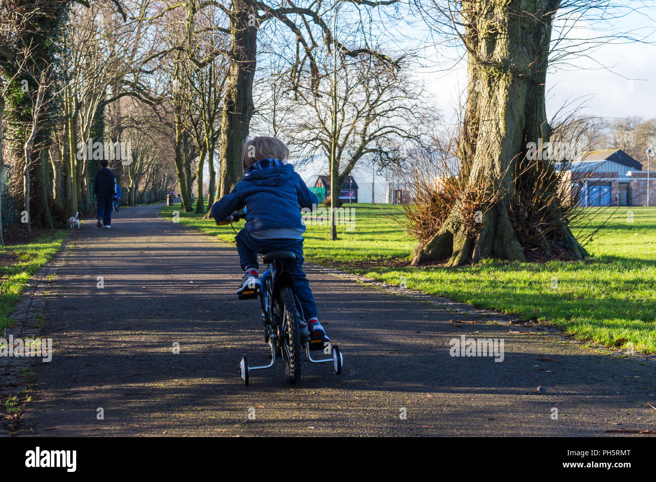 Child cycling a bicycle with stabilisers on tree-lined path through a park. Dog walker in distance. Wallace Park, Lisburn. Stock Photo