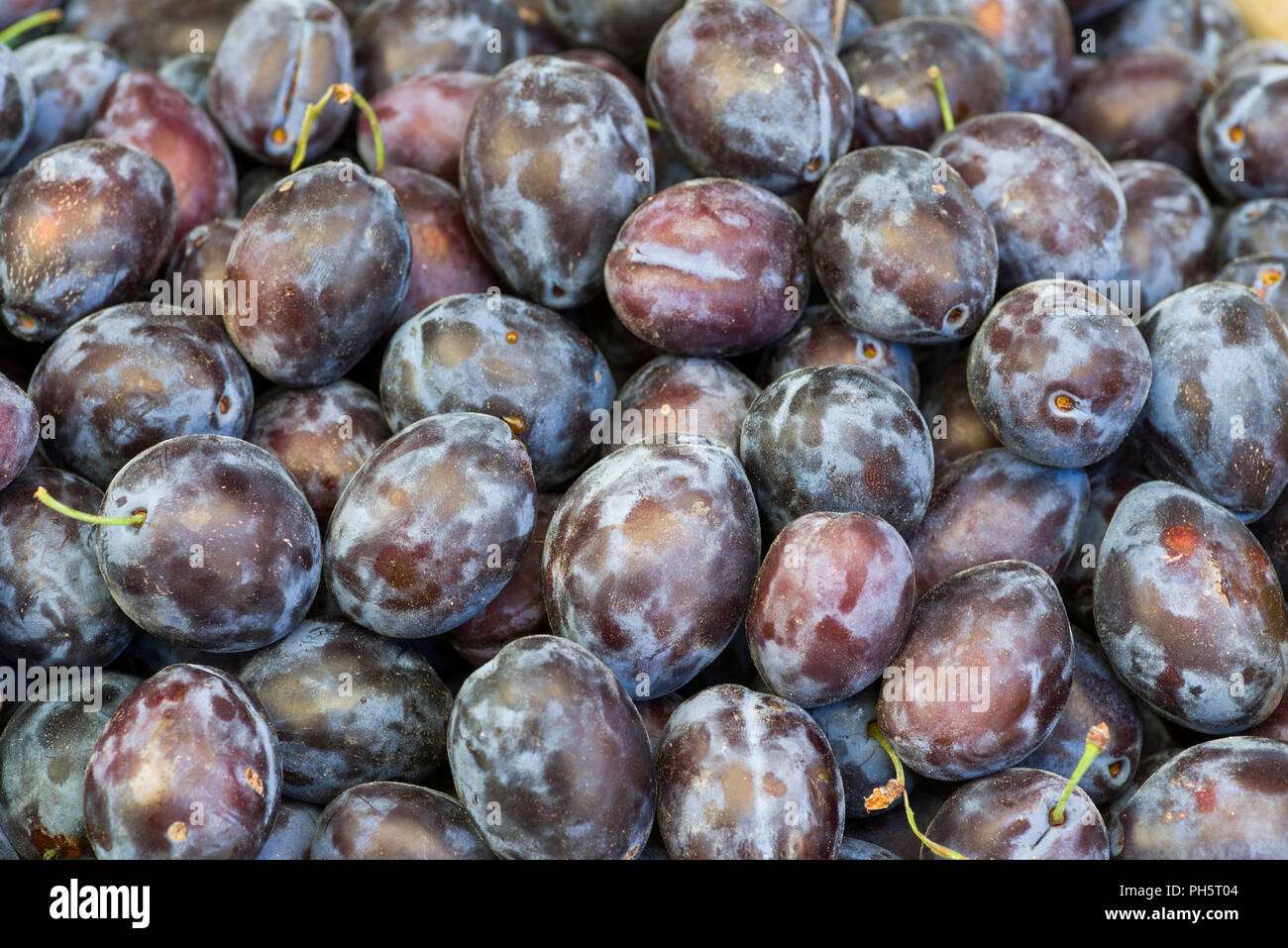 Ripe plums stacked together hi-res stock photography and images - Alamy