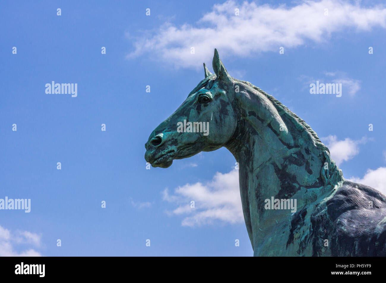 Edinburgh, Scotland, UK - June 14, 2012: Closeup of Horse statue of King Tom looking at Firth of Forth at Dalmeny House. Head and shoulders. Blue sky. Stock Photo