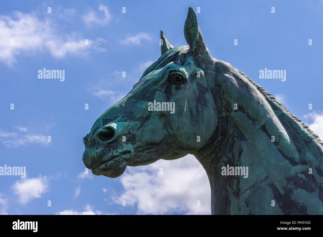 Edinburgh, Scotland, UK - June 14, 2012: Closeup of Horse statue of King Tom looking at Firth of Forth at Dalmeny House. Head only. Blue sky. Stock Photo