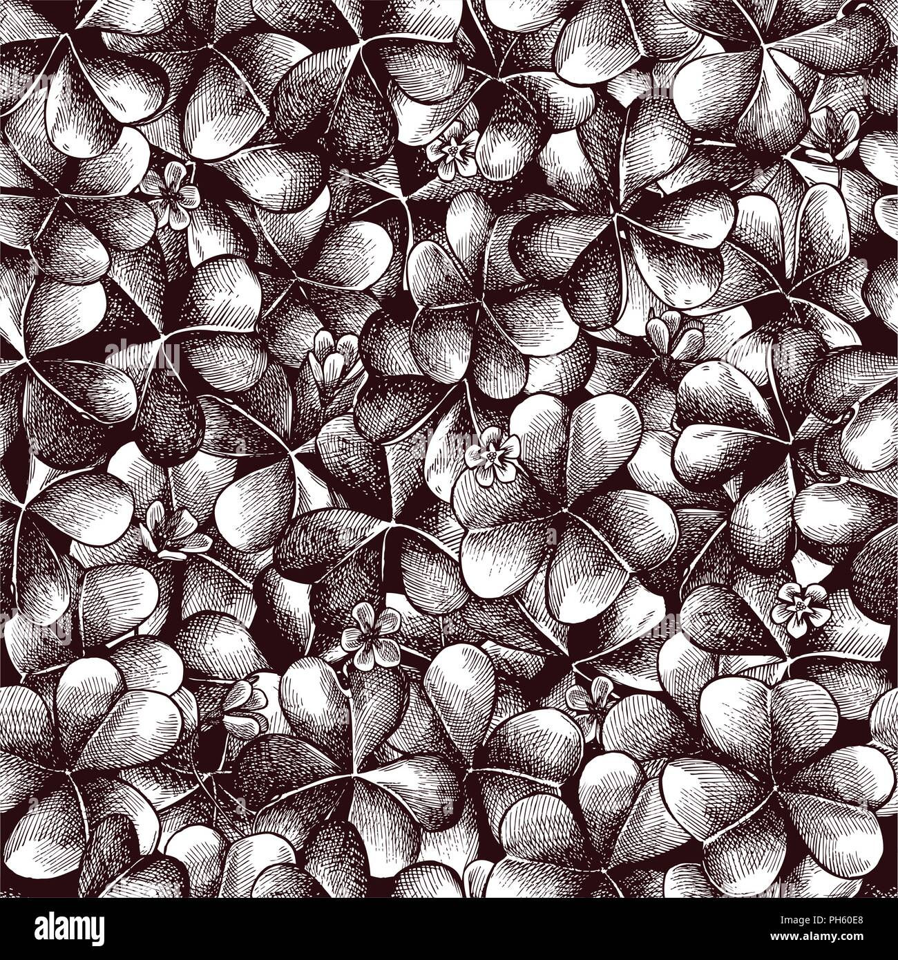 Vector seamless pattern with compositions of hand drawn oxalis Stock Vector