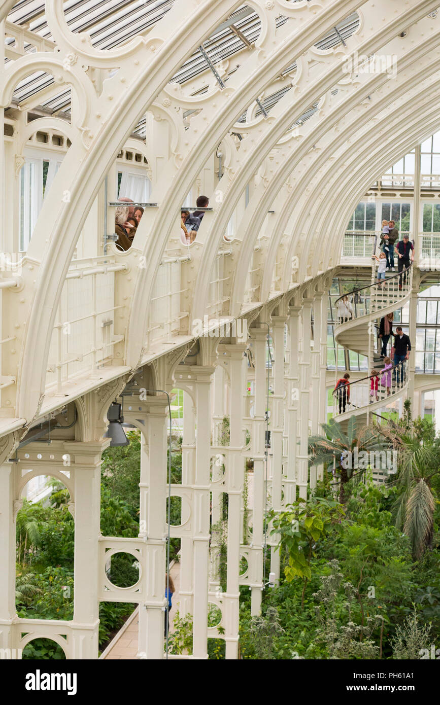 Wrought iron ribs / ironwork rib / iron and cast iron in the Victorian