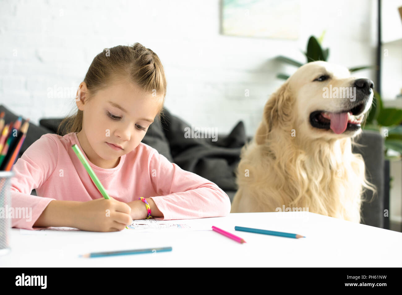 portrait of cute child drawing picture with pencils with golden retriever dog near by at home Stock Photo