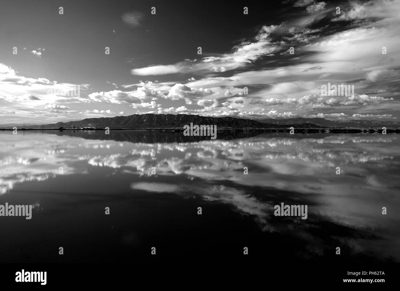 Delta del Ebre. Natural park,. Catalonia. Spain Stock Photo