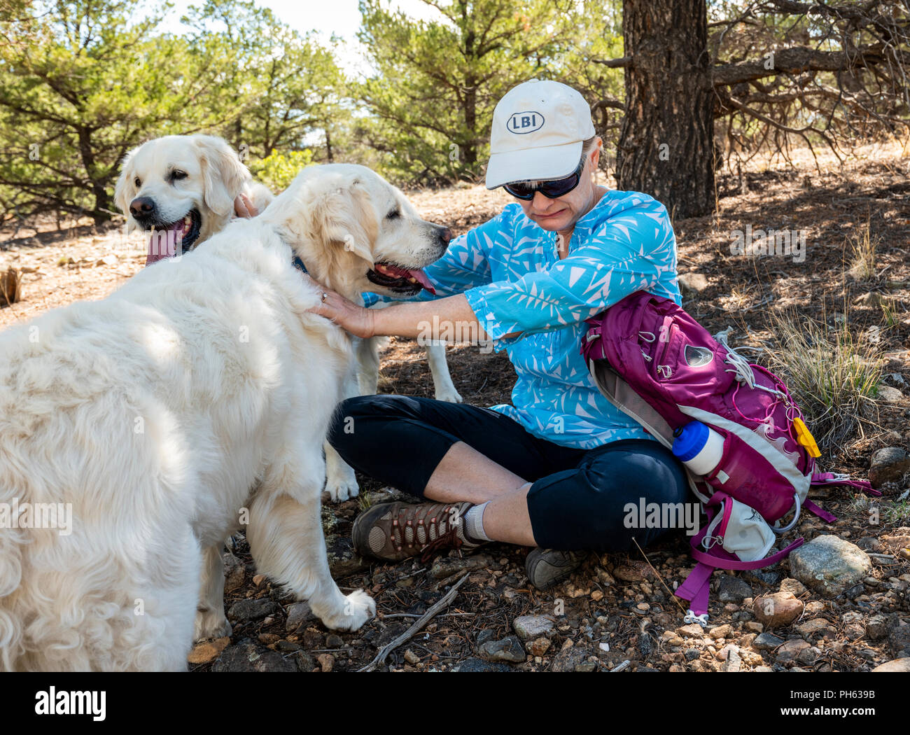 Female hiker pushes away drooling platinum colored Golden Retriever dog; West Spartan Trail; Salida; Colorado; USA Stock Photo