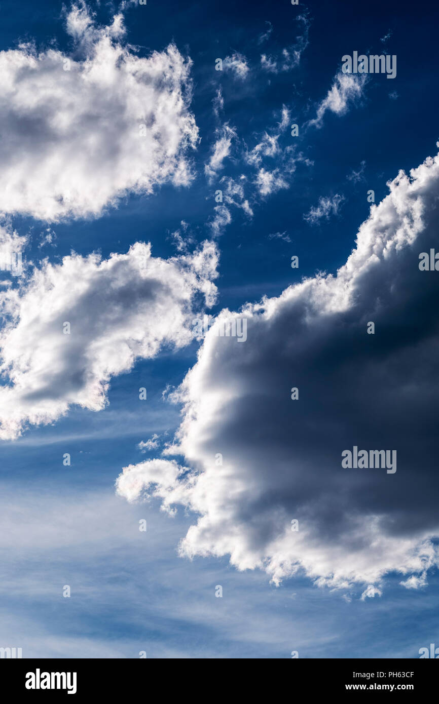 Puffy white cumulus clouds against a clear blue central Colorado sky; USA Stock Photo