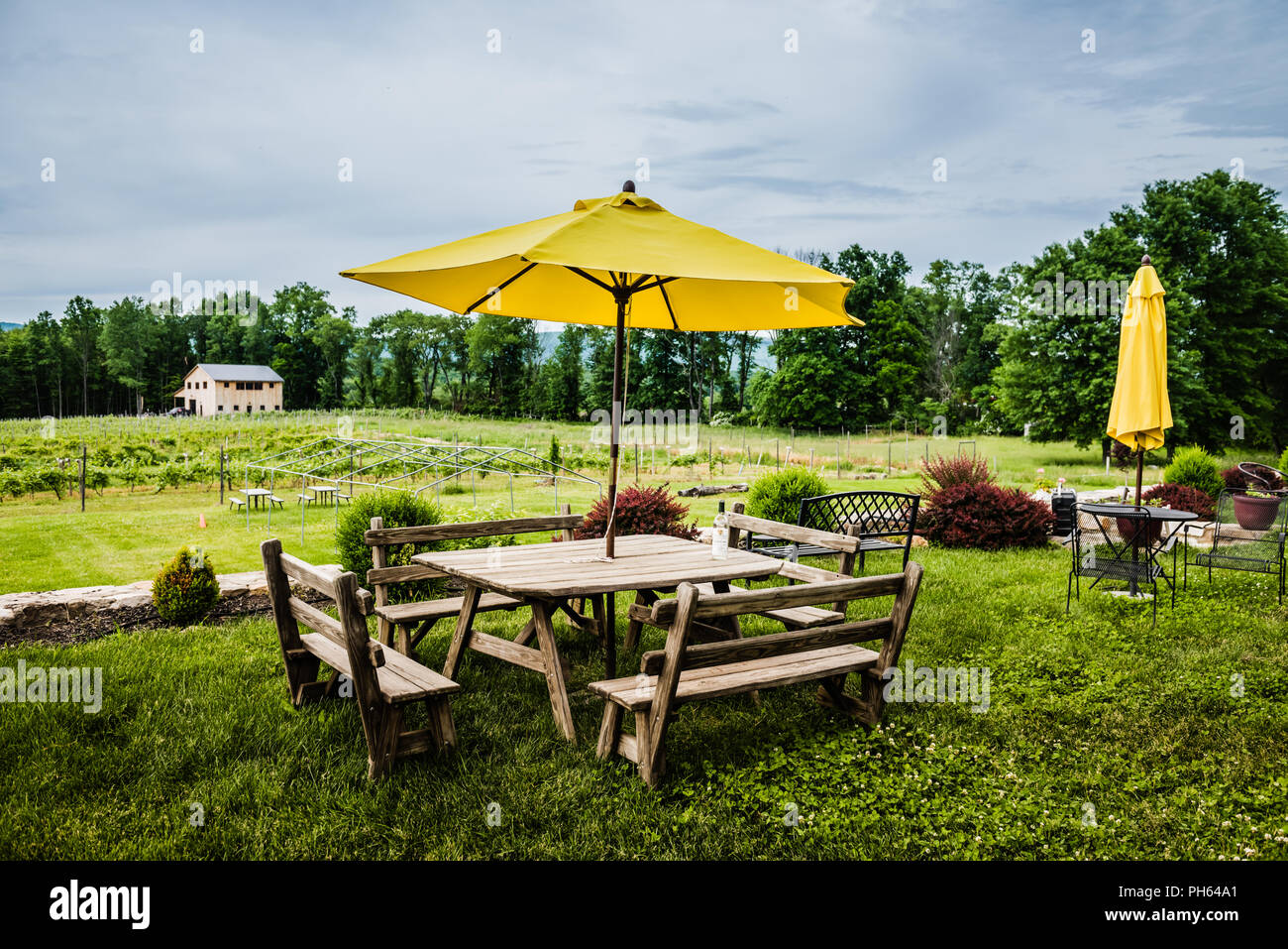 Pine Bush, NY /USA - June 9, 2018: Picnic table overlooking vineyard at Christopher Jacobs Winery. Stock Photo