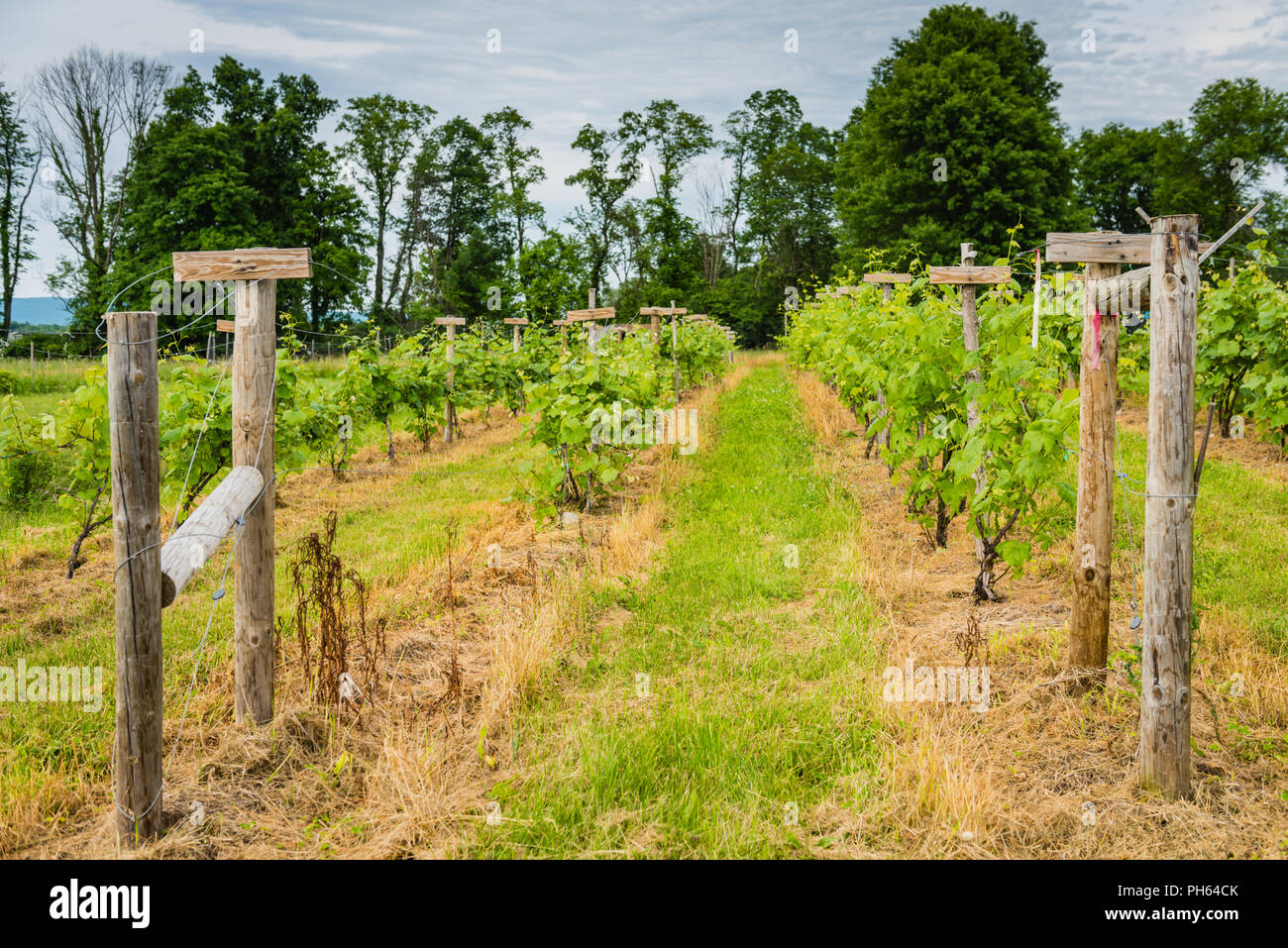 Wood posts hires stock photography and images Alamy