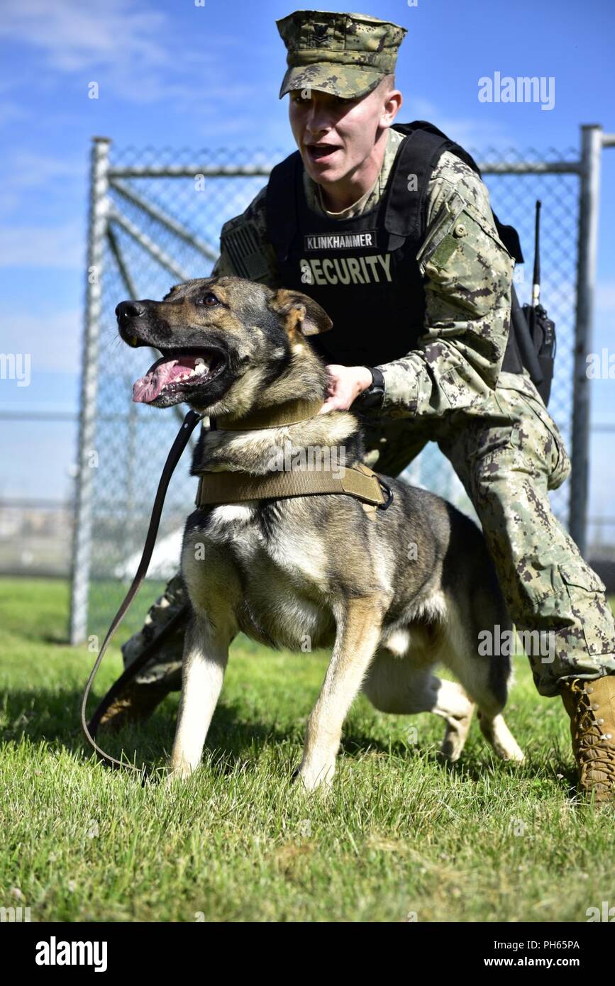 Dog Unit Magnet Battenberg Security K9 Handler UNIT Magnetic SIA Patrol BLK 
