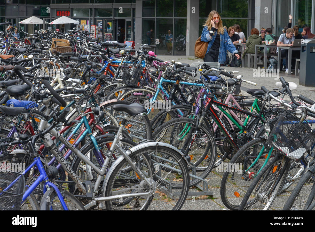 Fahrraeder, Universitaet zu Koeln, Albertus-Magnus-Platz, Lindenthal, Koeln, Nordrhein-Westfalen, Deutschland Stock Photo
