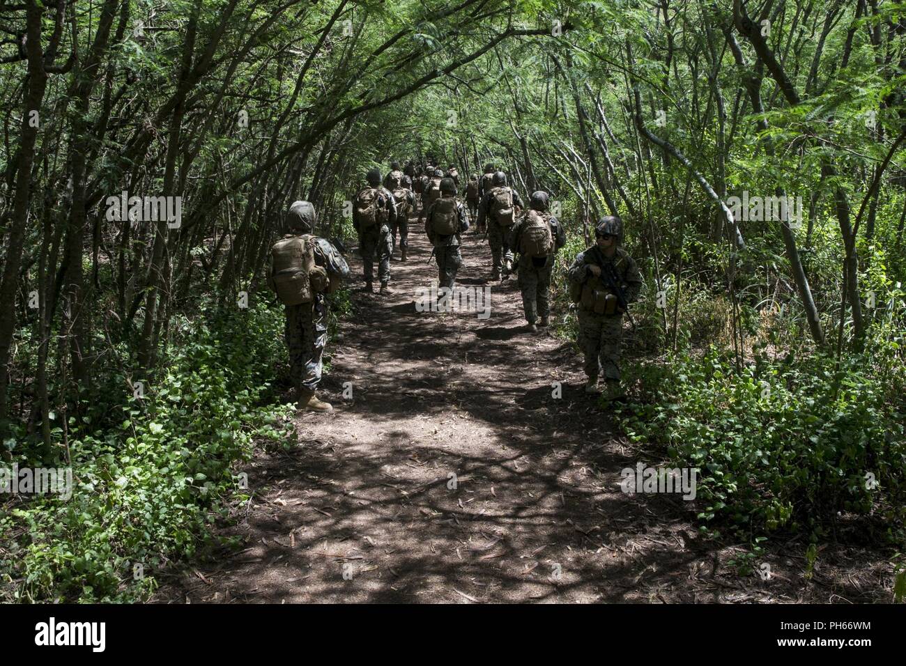 U.S. Marines with 3rd Radio Battalion, III Marine Expeditionary Force Information Group, conduct patrol exercises at Marine Corps Training Area Bellows, Hawaii, Jun. 27, 2018. The training opportunity fortified basic Marine skills and reaffirmed combat training techniques. Stock Photo