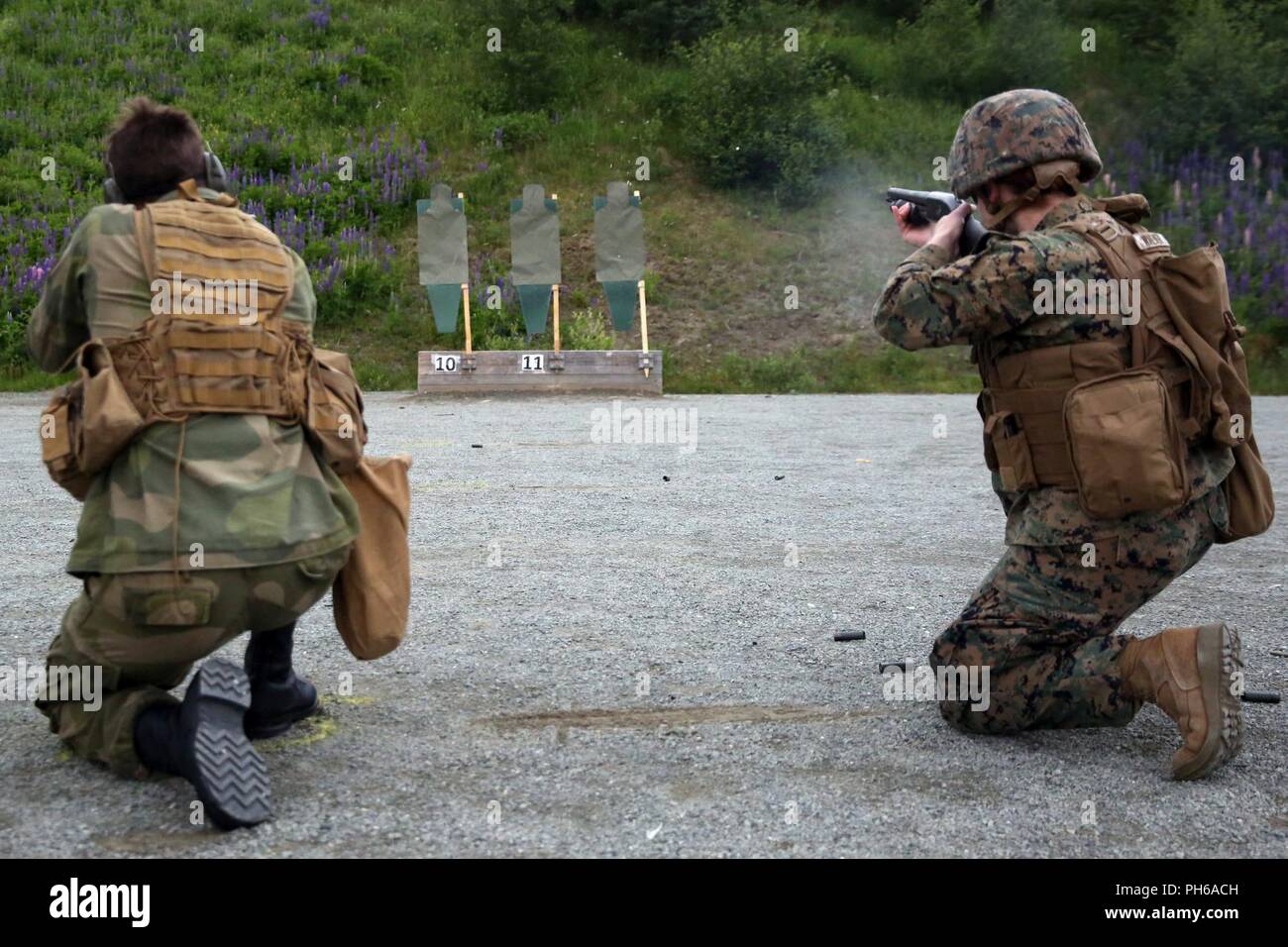 A Marine with Marine Rotational Force-Europe 18.1 and Norwegian military policeman fire M500 shotguns at static targets during a shotgun range at Leksdal Skytefelt Training Complex, Norway, June 27, 2018. The multinational training allowed the service members to cross-train with American and Norwegian weapon systems including assault rifles, shotguns, and pistols. The Marines and Norwegian soldiers practiced firing from the kneeling and standing positions while moving between barricades. Stock Photo
