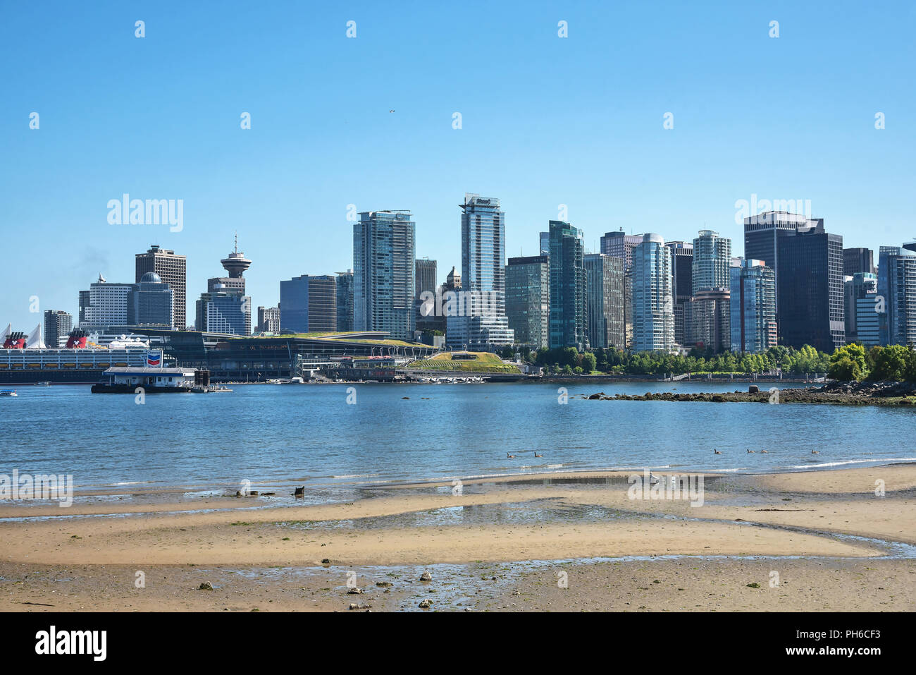 View form Stanley Park on Highrise apartment buildings along English