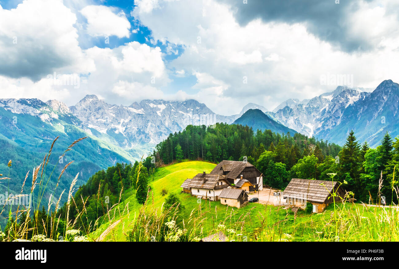 View on farm in the slovenian Alps by Logar Valley Stock Photo