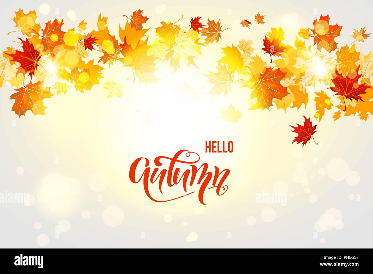 Bright fall leaves Stock Vector