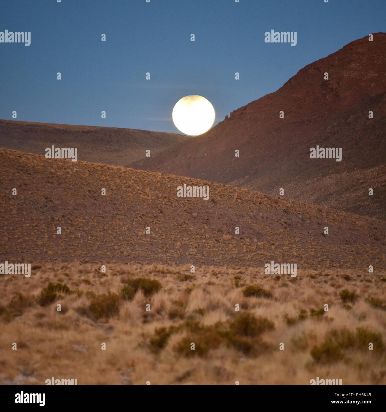 My Image 30