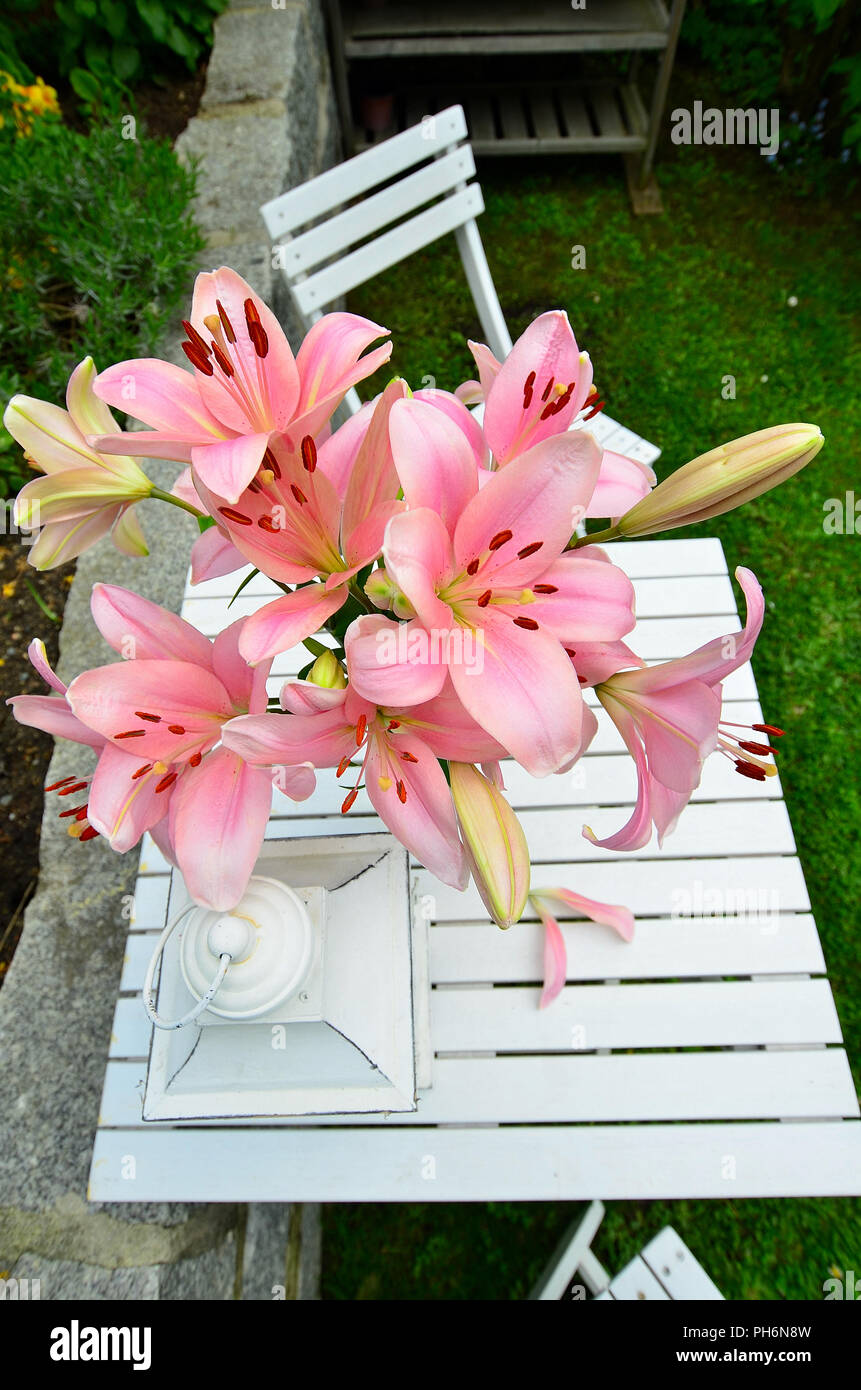 pink lily garden Early Spring shabby chic Stock Photo - Alamy