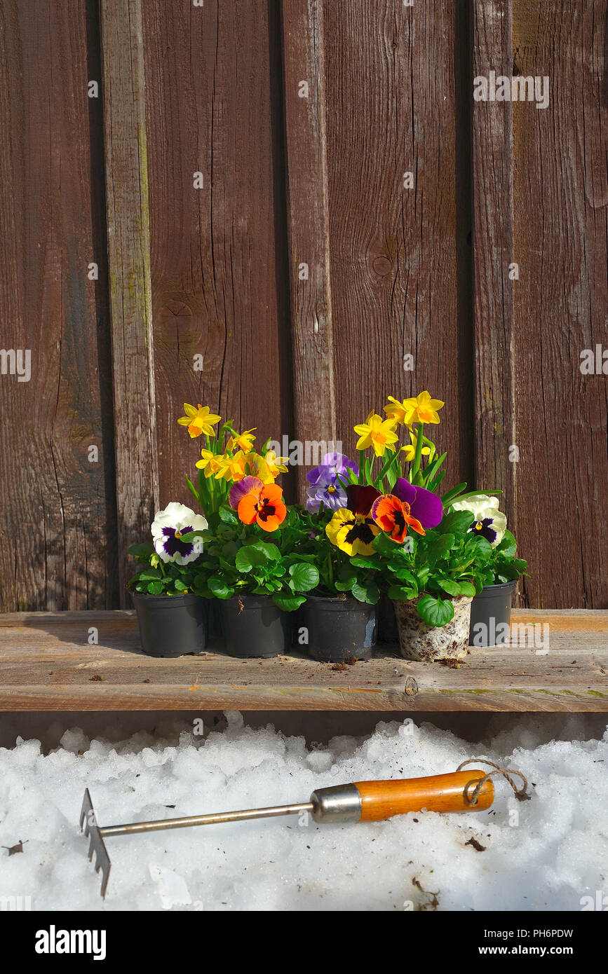 Spring planting garden Stock Photo - Alamy