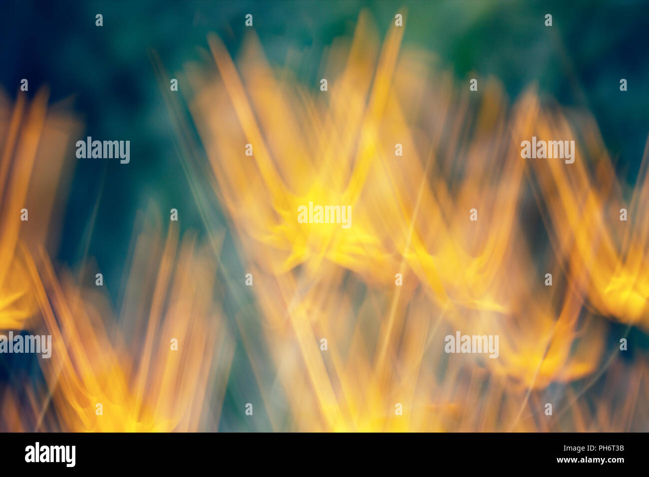 Abstract floral background. Motion effect Stock Photo - Alamy