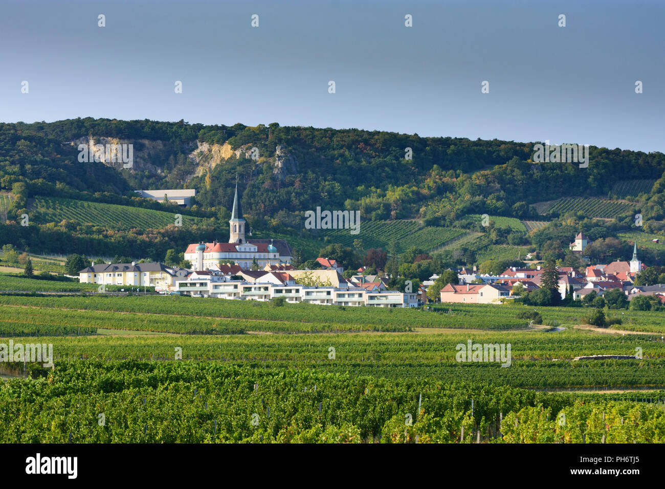 Gumpoldskirchen: view to Deutschordensschloss (German Order Castle), Wienerwald, vineyard, Wienerwald, Vienna Woods, Niederösterreich, Lower Austria,  Stock Photo