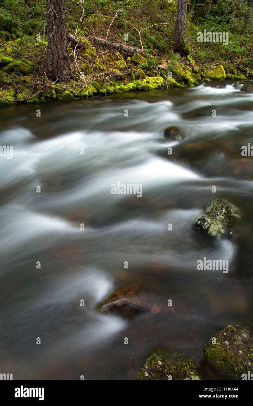 Badger Creek, Badger Creek Wilderness, Mt Hood National Forest, Oregon Stock Photo Alamy