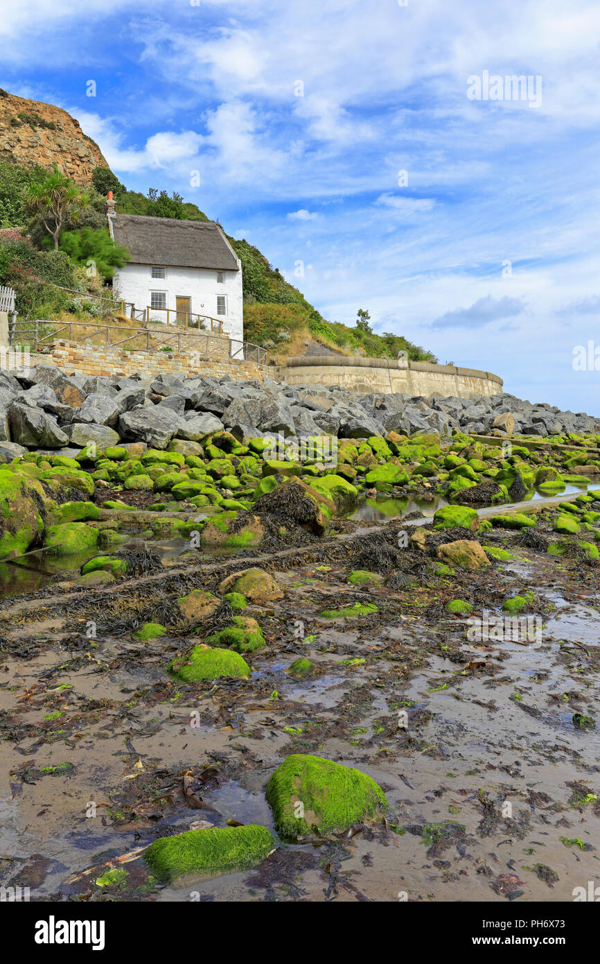 Whitewashed Thatched Cottage Runswick Bay North Yorkshire