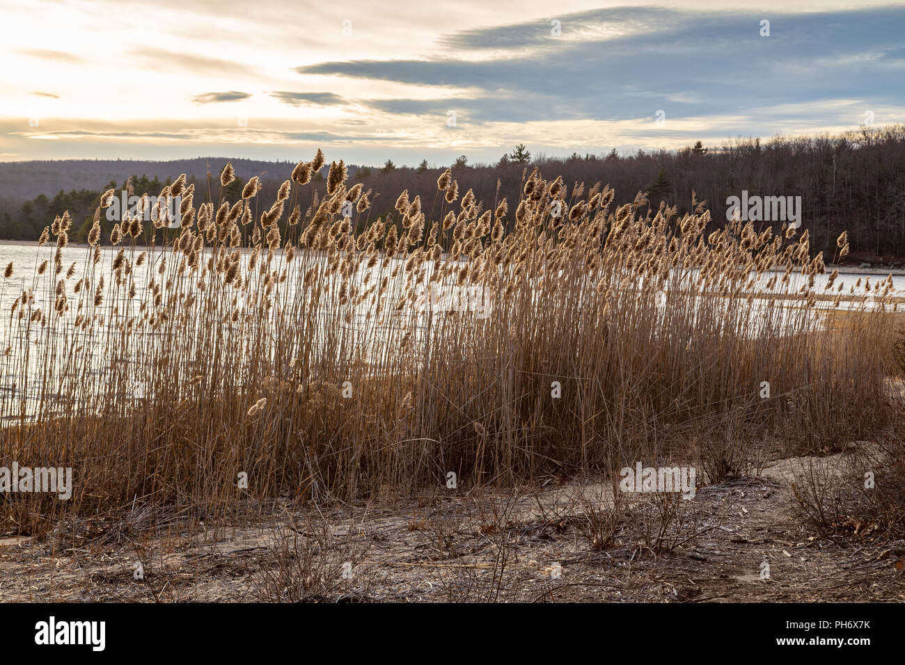 Quabbin Reservoir, Massachusetts Stock Photo - Alamy