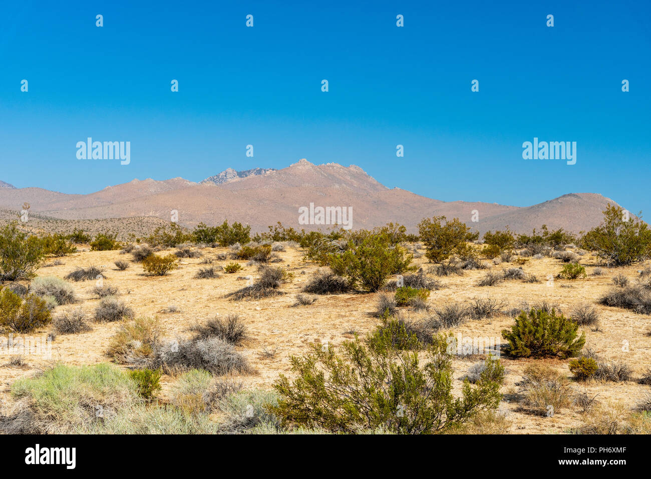 The California Mojave Desert under a bright blue sky near Walker Pass ...