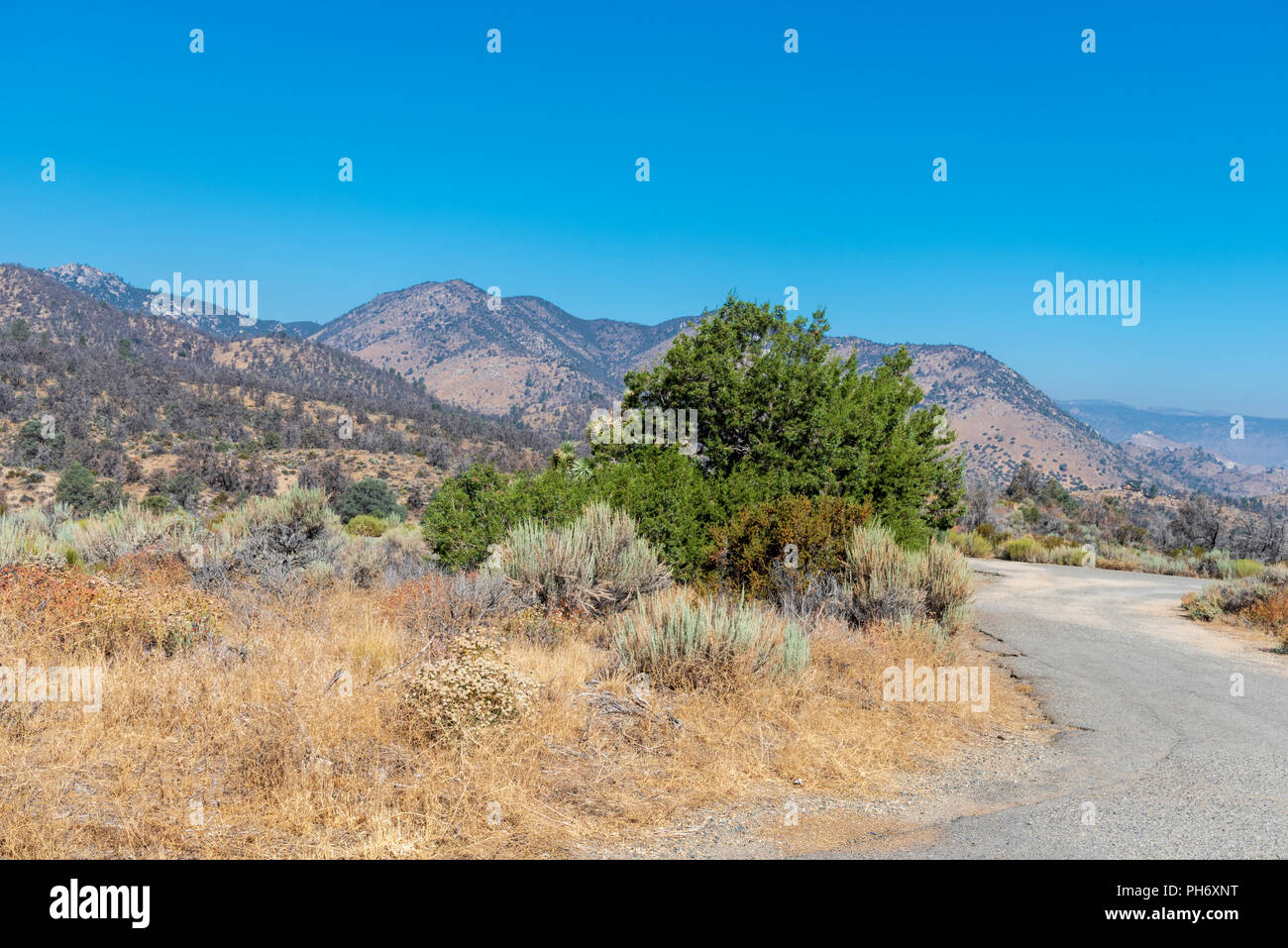 'Back road leading out of the mountains with dead grass and sagebrush. Stock Photo