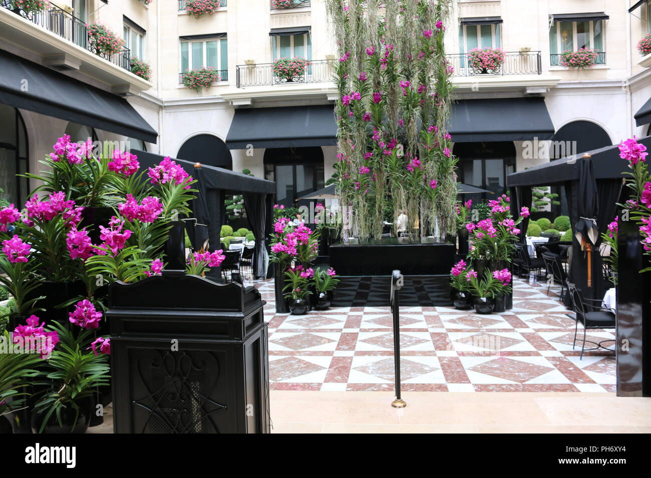 Hotel courtyard in paris, vanda orchid display Stock Photo