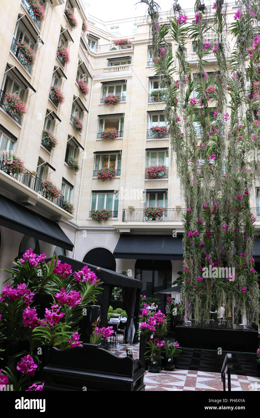 Hotel courtyard in paris, vanda orchid display Stock Photo