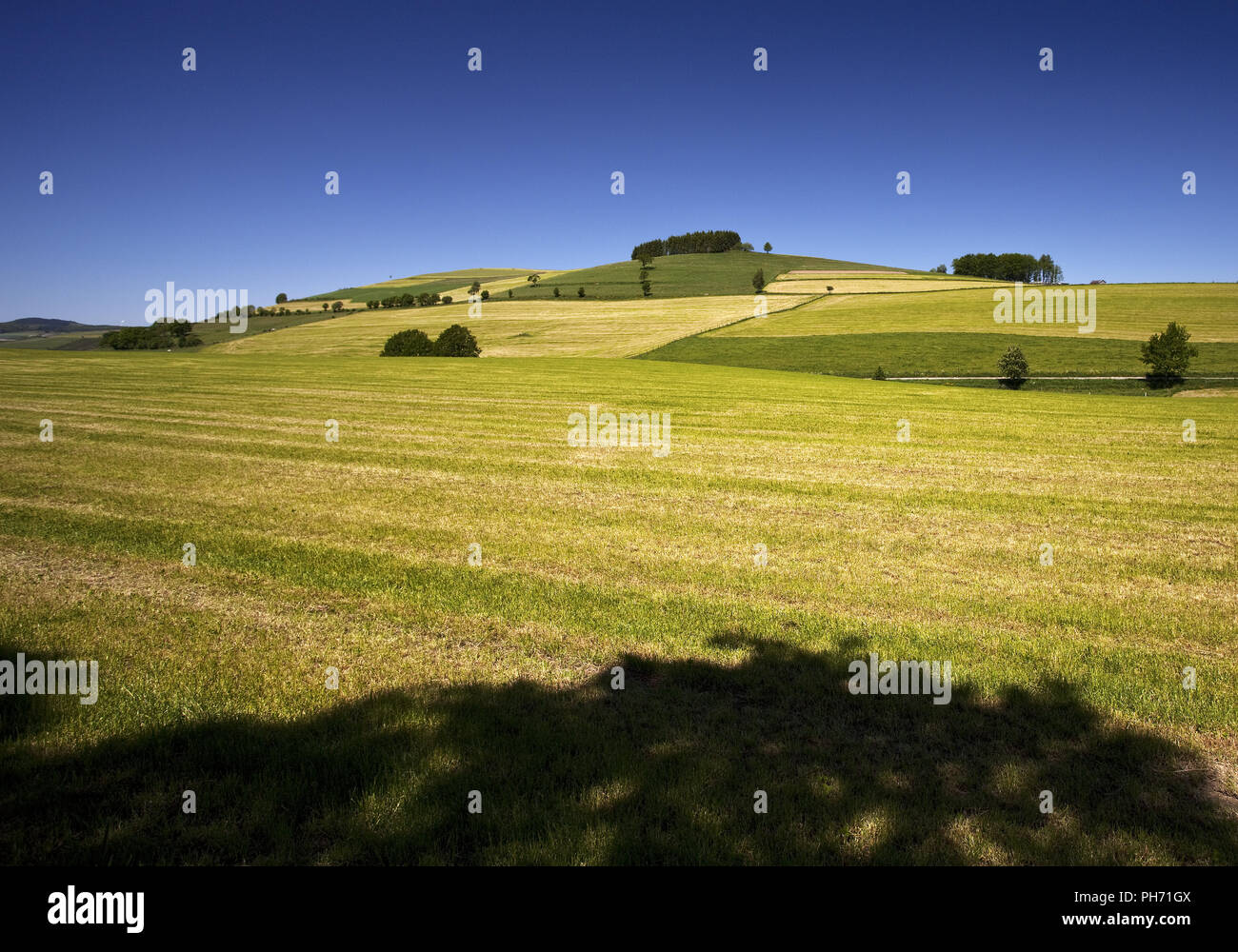 Landscape in Schmallenberg in Sauerland, Germany Stock Photo