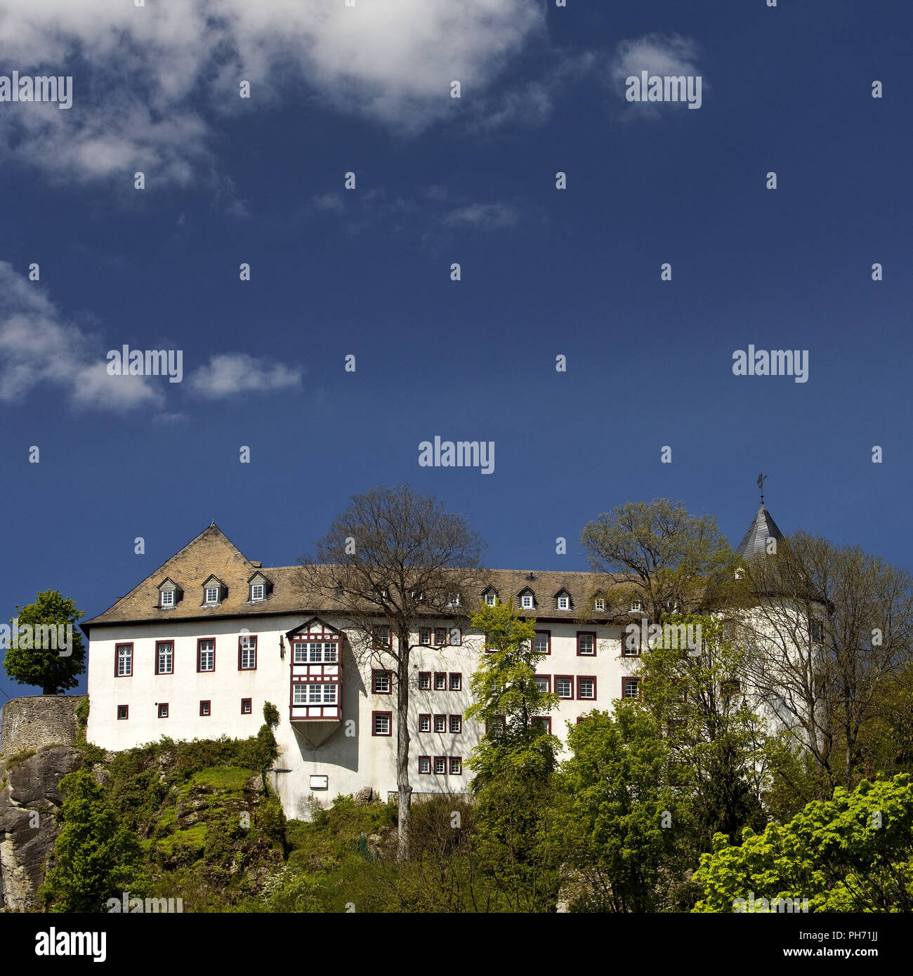 Bilstein hires stock photography and images Alamy