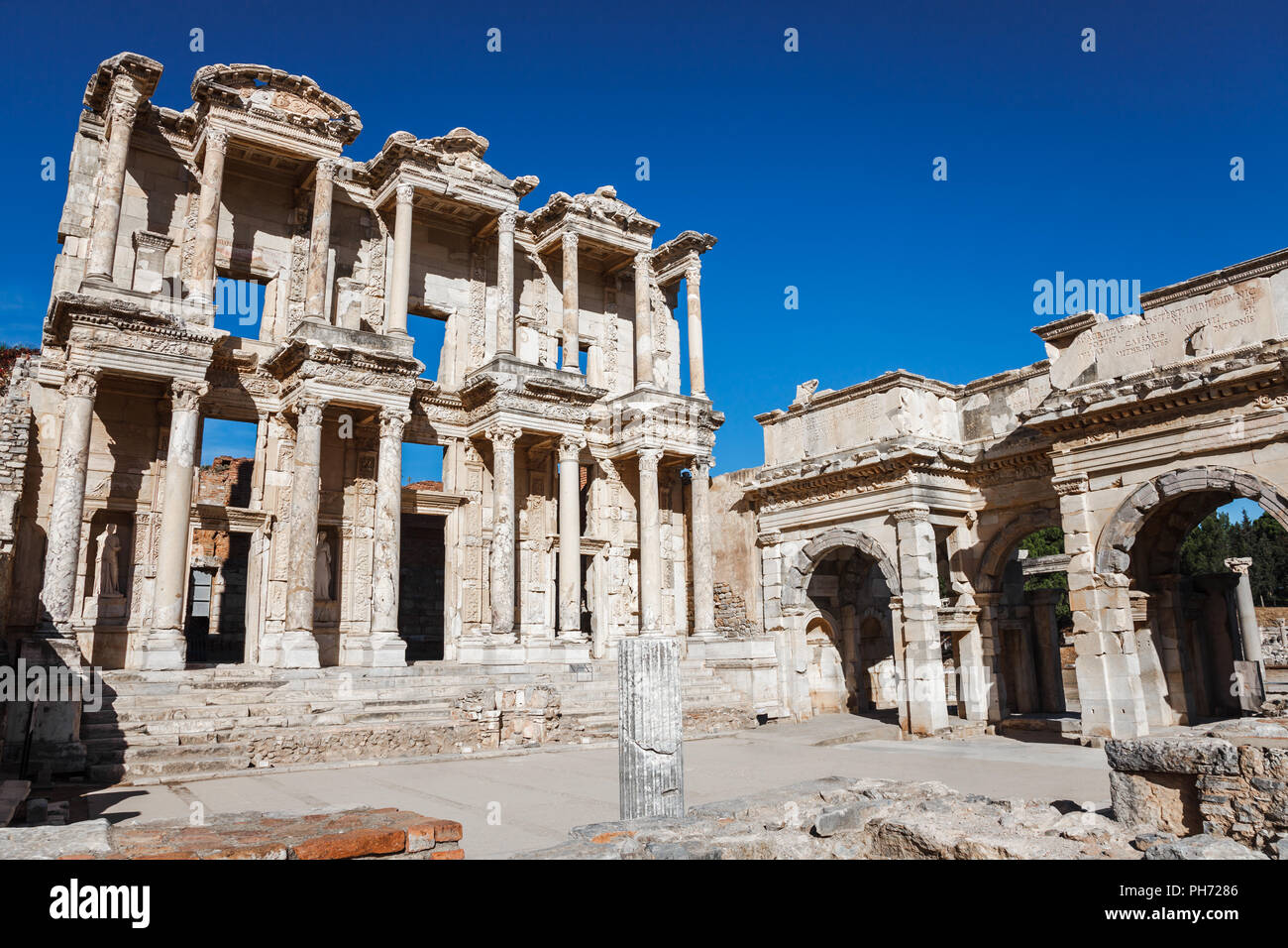 Celcus Celcus hi-res stock photography and images - Alamy