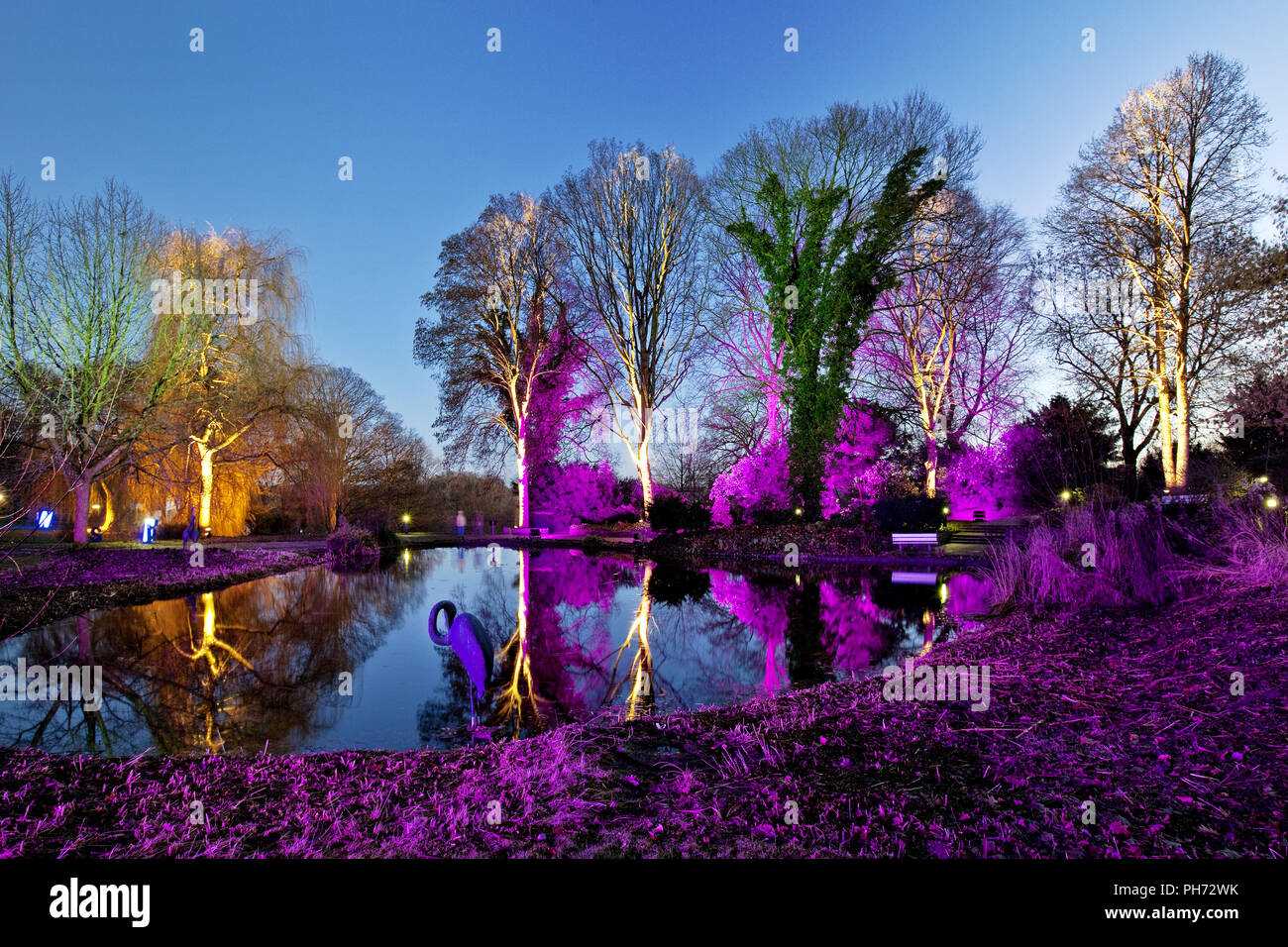 Winter lights, park Westphalia, Dortmund, Germany Stock Photo Alamy