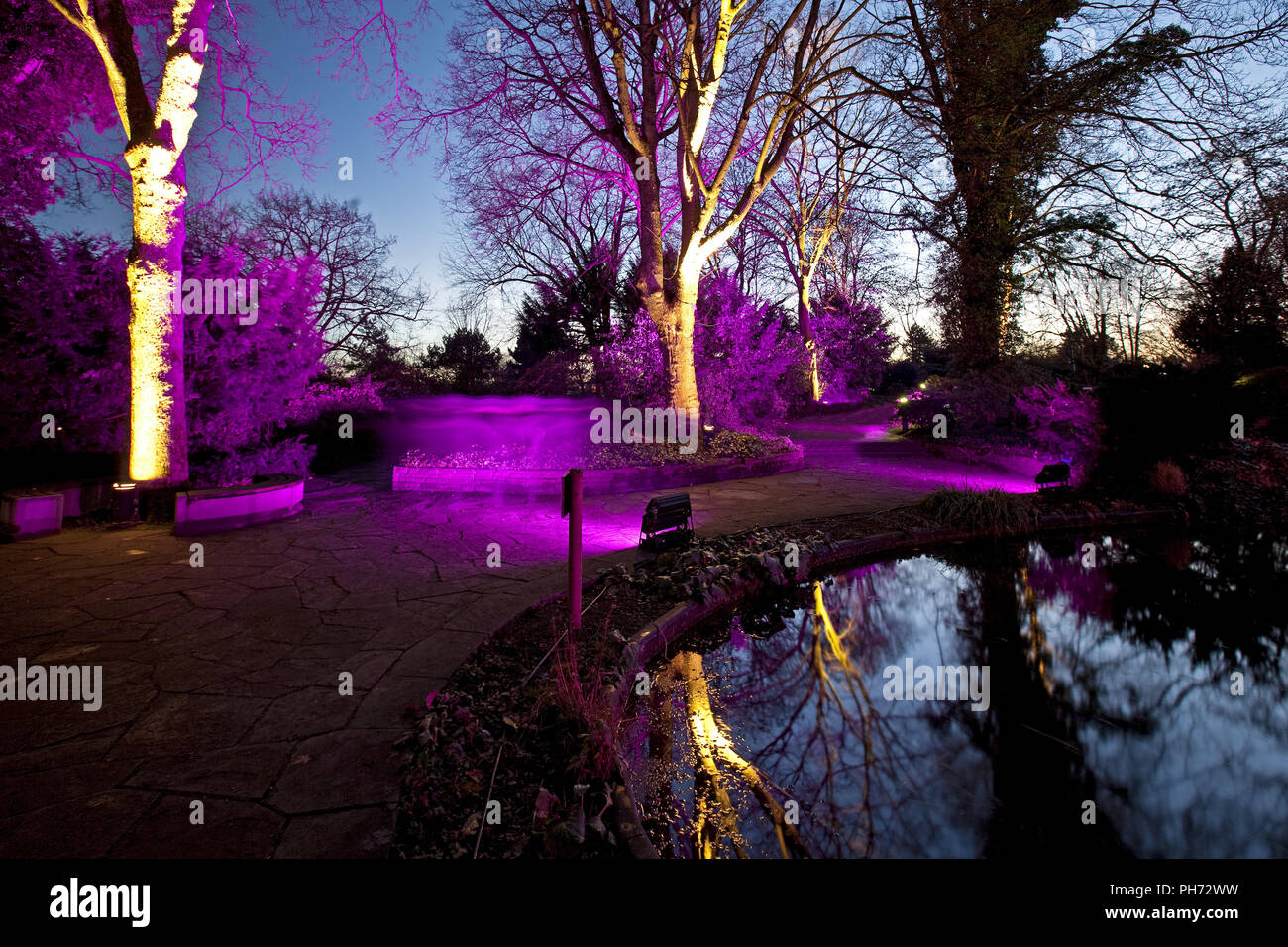 Winter lights, park Westphalia, Dortmund, Germany Stock Photo Alamy