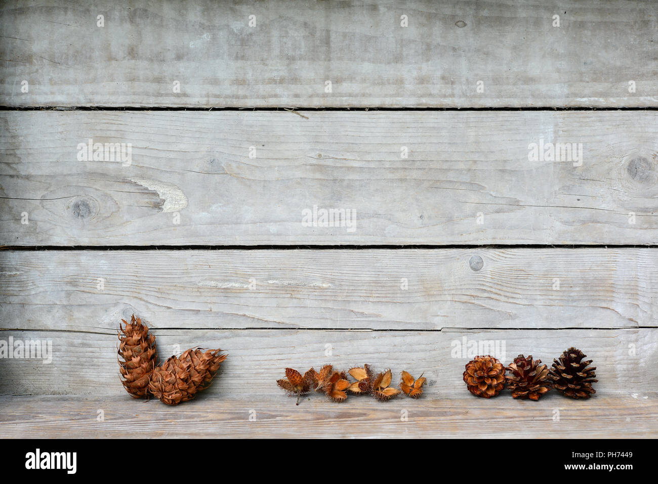 Christmas wooden background nature Stock Photo