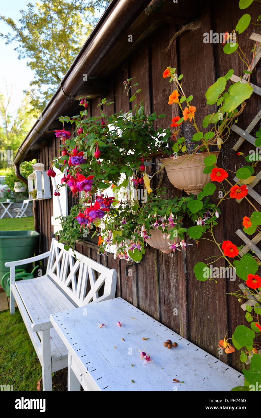 Garden cottage autumn Stock Photo