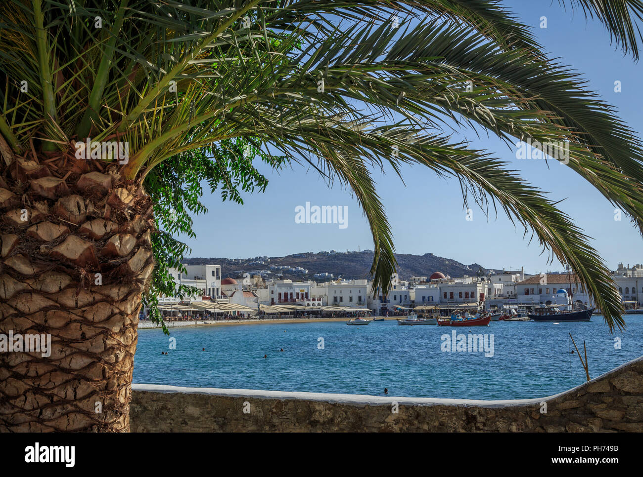 Bay of Mykonos in a natural palm tree frame Stock Photo