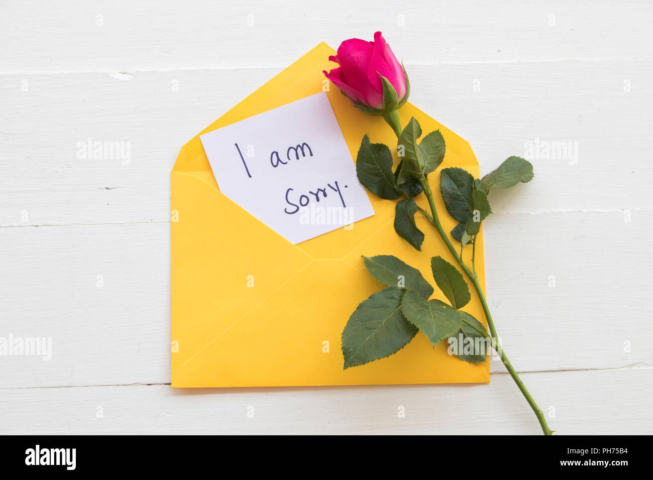 i am sorry message card handwriting in yellow envelope with red rose flower on background white wood Stock Photo