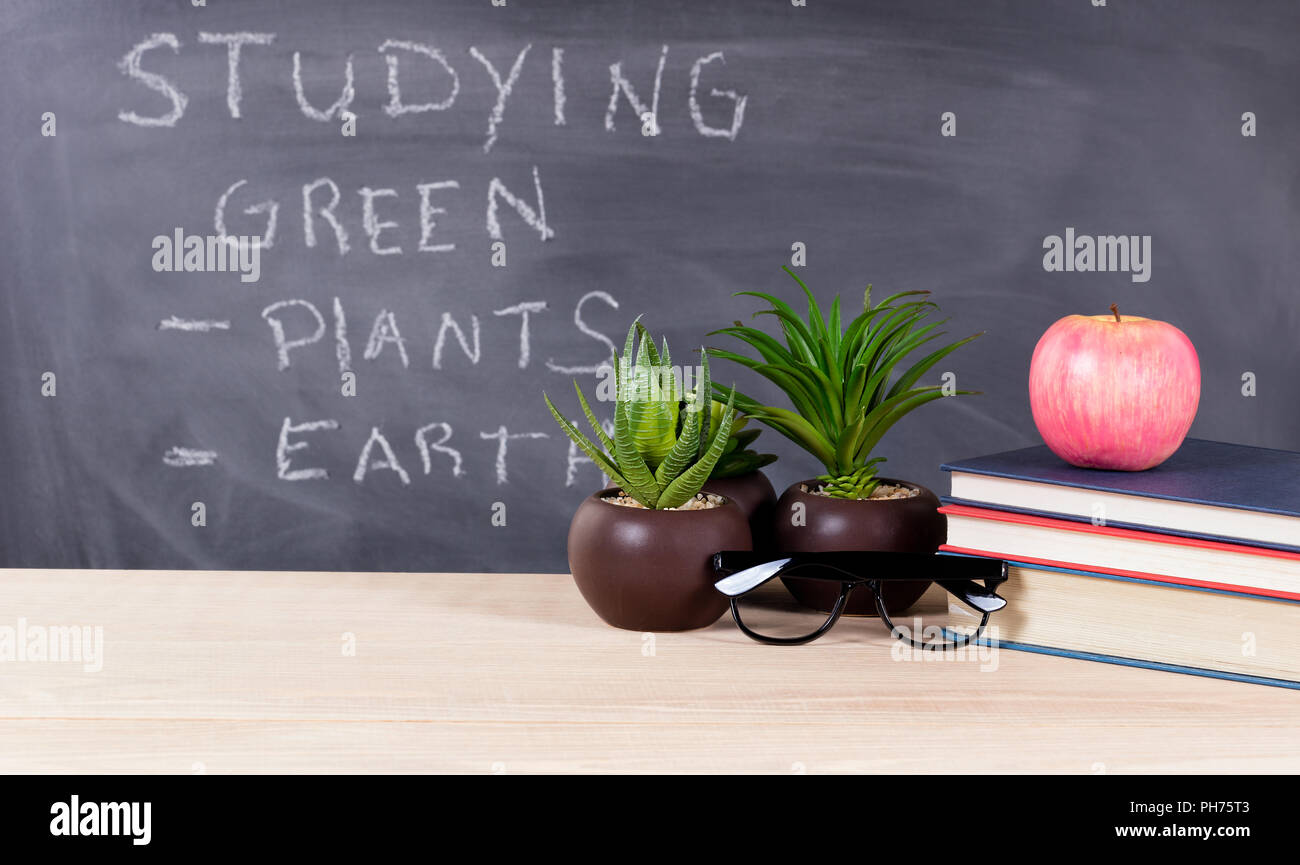 Studying green topics in classroom environment with blackboard in background Stock Photo