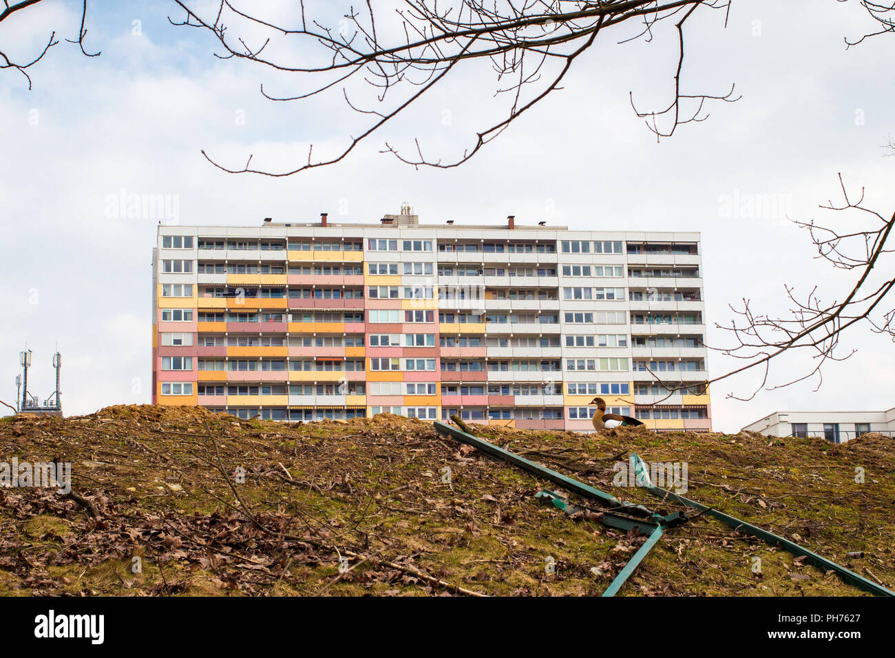 High-rise in Frankfurt Bonames/Nieder-Eschbach (Ben-Gurion-Ring Stock Photo  - Alamy