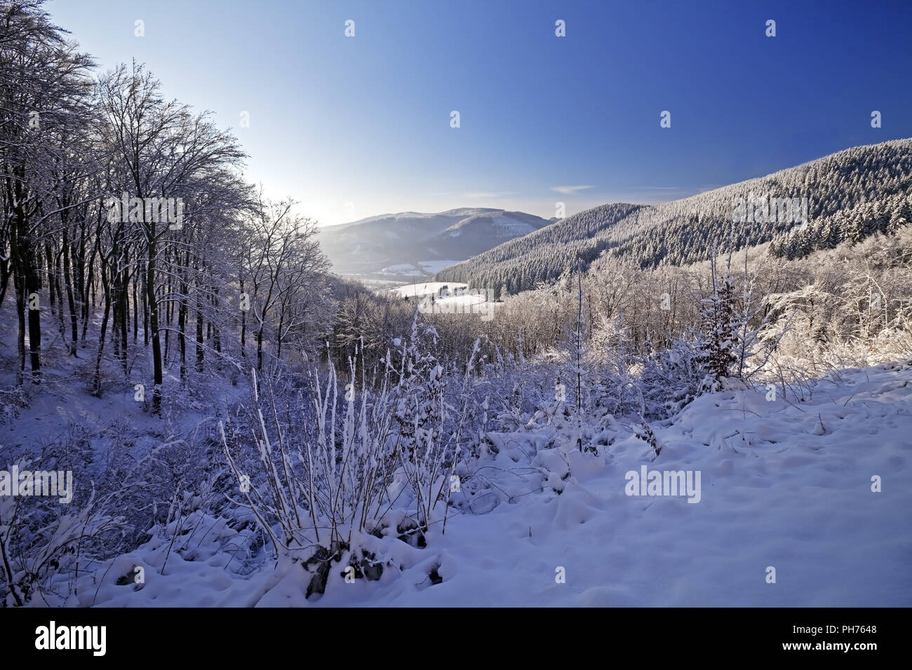 winter landscape near Lenscheid, Germany, North Rhine-Westphalia,  Sauerland, Finnentrop Stock Photo - Alamy