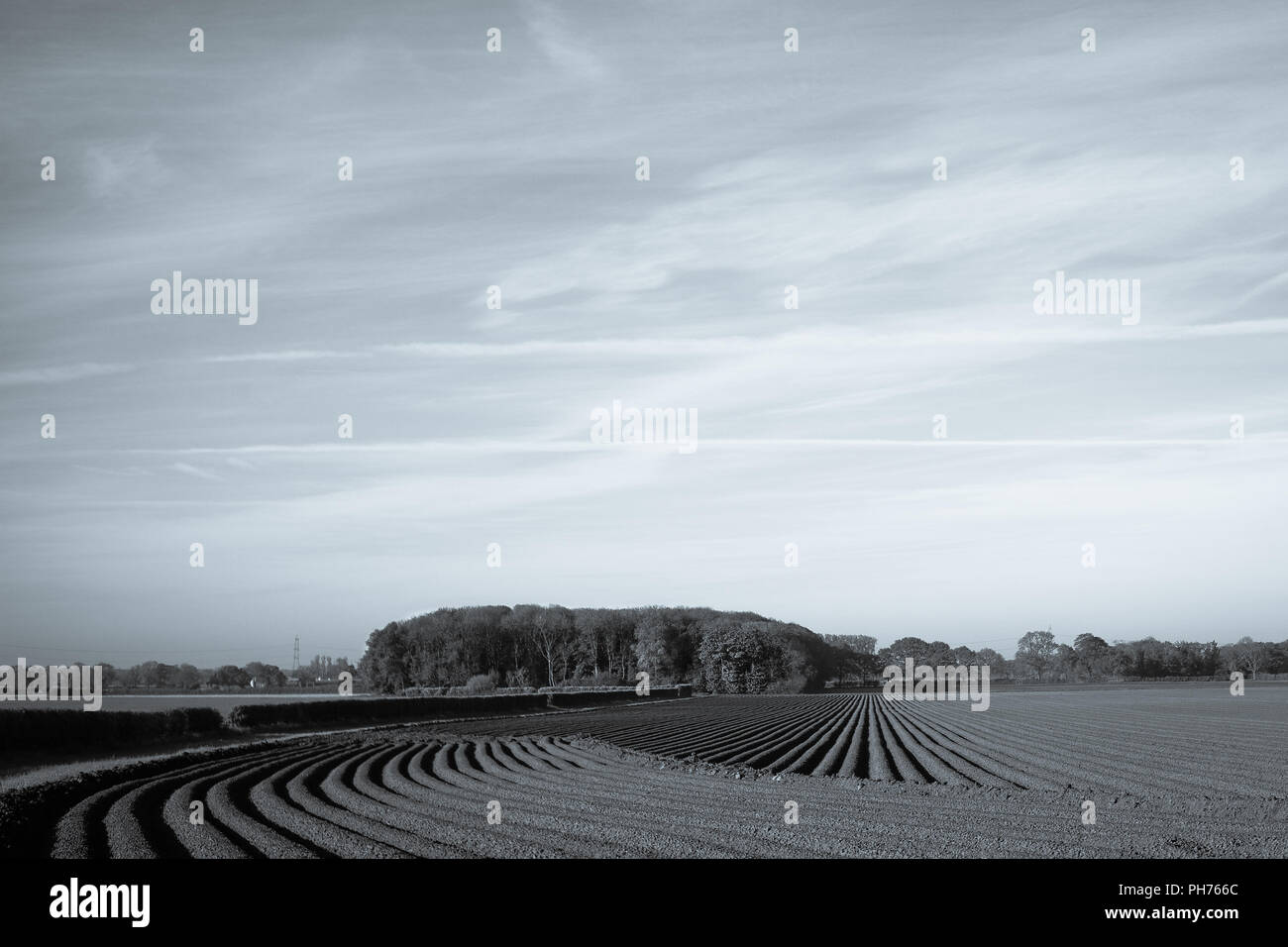 Helling Potatoes High Resolution Stock Photography And Images Alamy