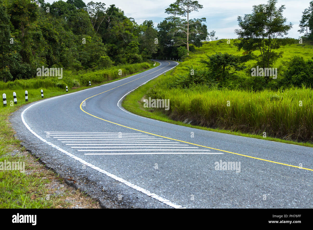 Empty road in jungle on background for nature Stock Photo - Alamy