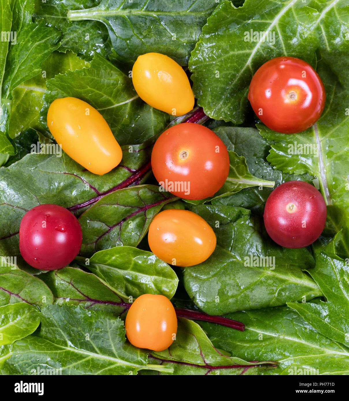 Fresh green leaf salad and tomatoes in filled frame layout Stock Photo