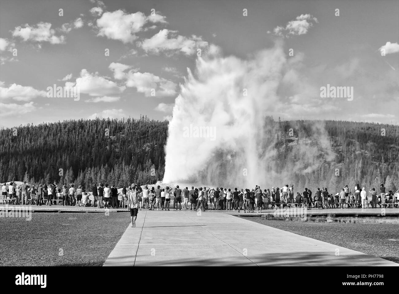 old faithful geyser Stock Photo