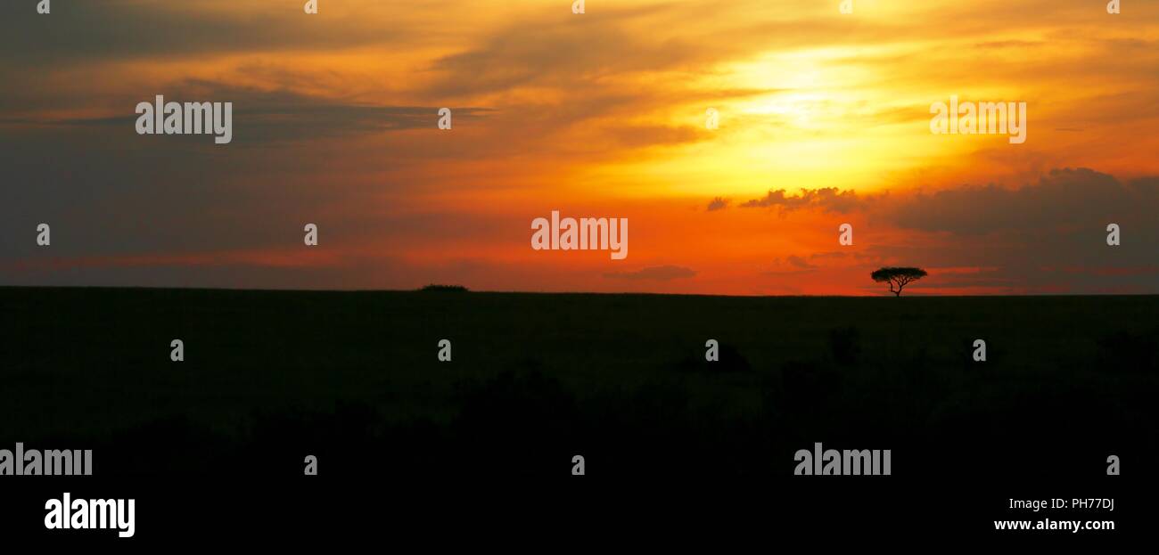 sunset at the masai mara national park kenya Stock Photo