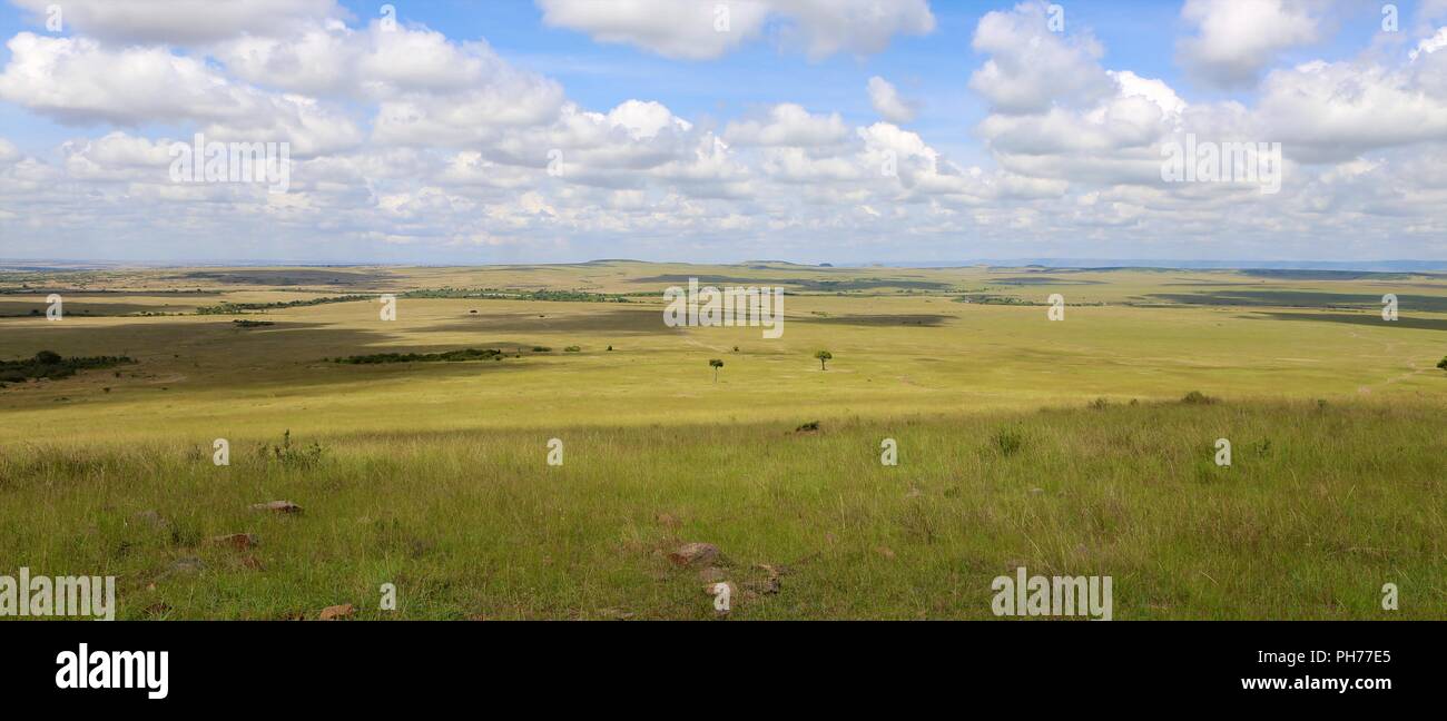 Landscape masai mara kenya hi-res stock photography and images - Alamy